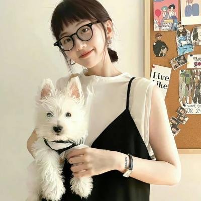 全面追缉